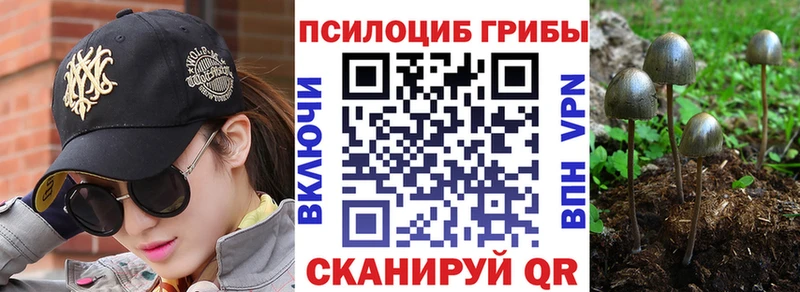 Псилоцибиновые грибы Magic Shrooms  Мурино 